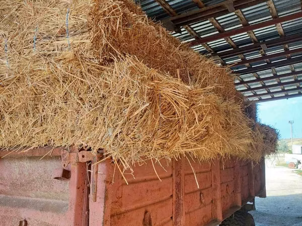 Продам 100 тюков сена