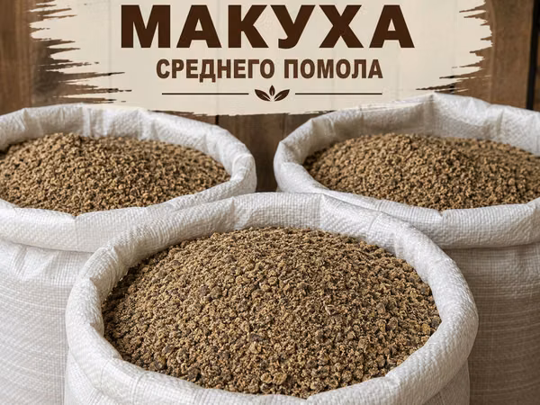 Макух 2026 Бельцы/Сынжерей