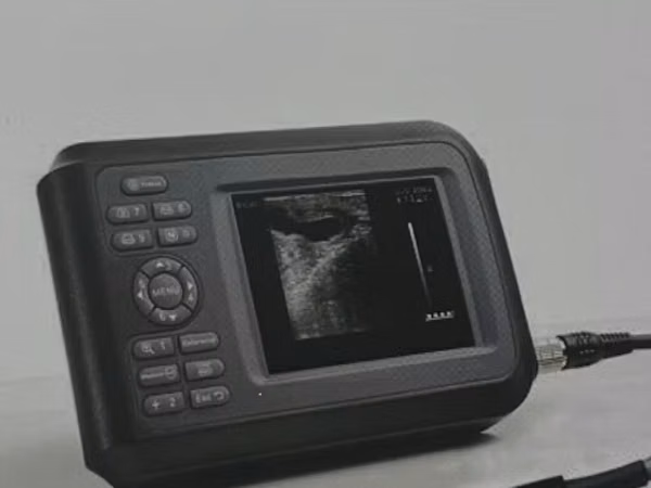 Продаю УЗИ АППАРАТ ДЛЯ КРС мрс лошадей