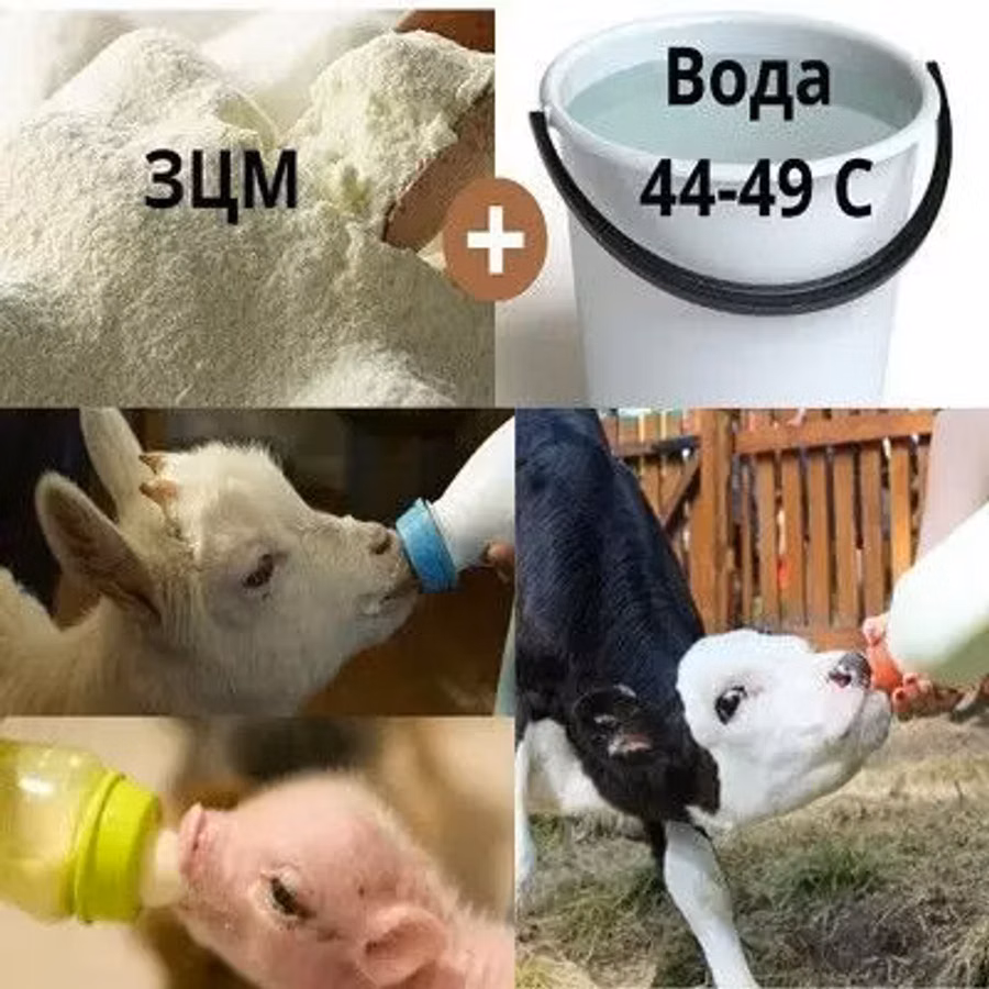 Сухое молоко для животных ( старт )