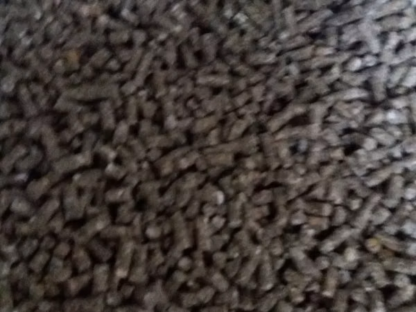 Corm p/t vaci.vitei.oi.capre..jom de sfecla.