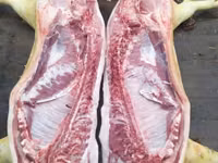 公猪, Pigs — 照片 3