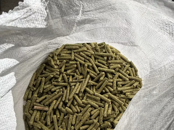Granule lucernă