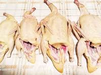 Продаются мясо немых уток — الصورة 2