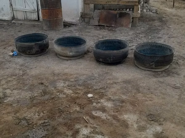 Малга астау, гул егуге де болад