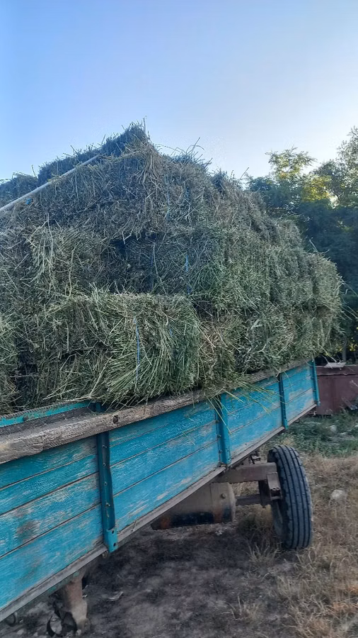 Только что убитые литровые тюки
