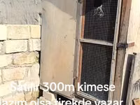 Taxta toyuq/kənd quşları üçün daxıl - Material: qalın taxta və metal — foto 3