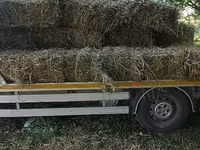 Продам тюки люцерны. — foto 3