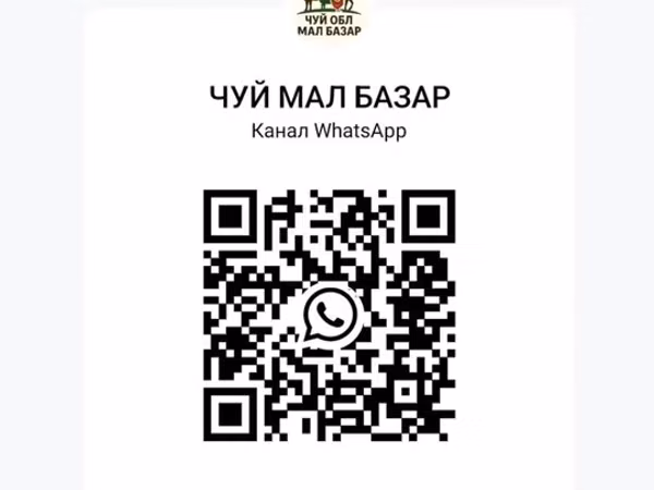 Название: ЧУЙ МАЛ БАЗАР — канал WhatsApp козу кочкор сатып алам