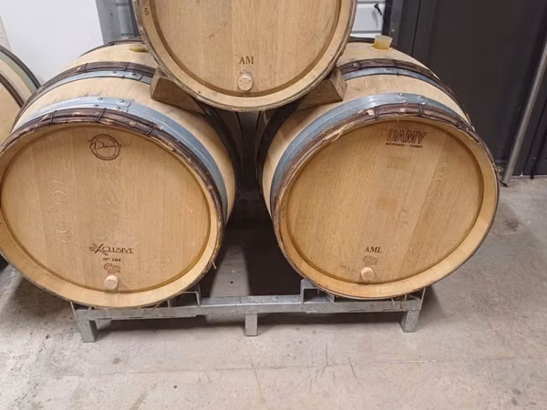 Butoi Vin stejar francez marca Chassin – calitate superioară!