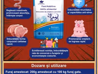 Stimulator pentru creștere porcilor premix — сүрөт 2