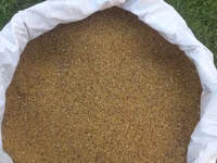 5 illik yoncadan saxlanılmış vimden keçirilmiş yonca toxumu. 4 manat — Foto 2