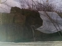 Продам сено в тюках — foto 1