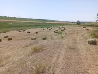 Сено трава разнотравье тюки — Foto 1