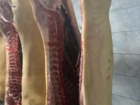 Propunem spre vânzare carne de porc proaspătă și deosebit de delicioasă. — foto 2