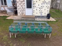 Cuști pentru iepuri клетка для кроликов — photo 3
