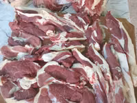 Eber, Schweine — Foto 4