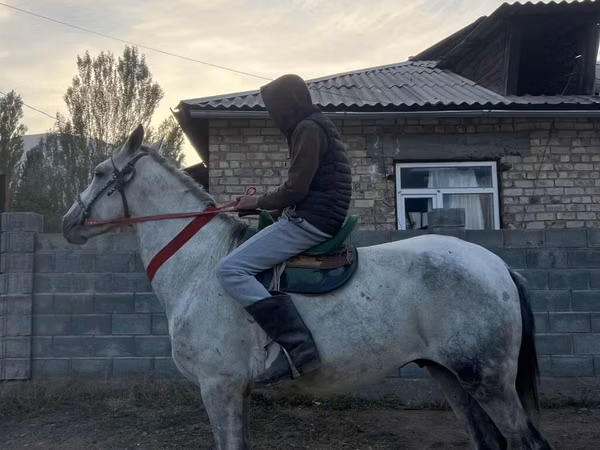 At, Atlar
