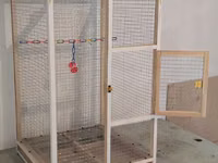 Papuqay,dovşan,hamster,şinşila,bildirçin,cücə,xamyak,pişik,quş,tısbağa — foto 2
