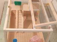 Hamster/kiçik gəmirici üçün geniş taxta — foto 5