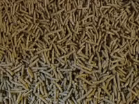 Granule pentru iepuri de calitate superioara.Edineț.facem livrare — foto 2