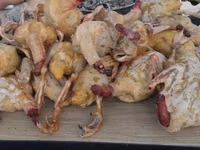 Vind carne de Rata Muta de casa (Мускусная утка) — foto 3