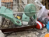 Hamster qəfəsi – tam dəst

15 ədədi qab qaşıg satıram — foto 1
