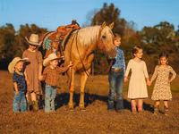 公马, Quarter Horse — 照片 4
