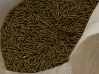 Granule — Foto 2
