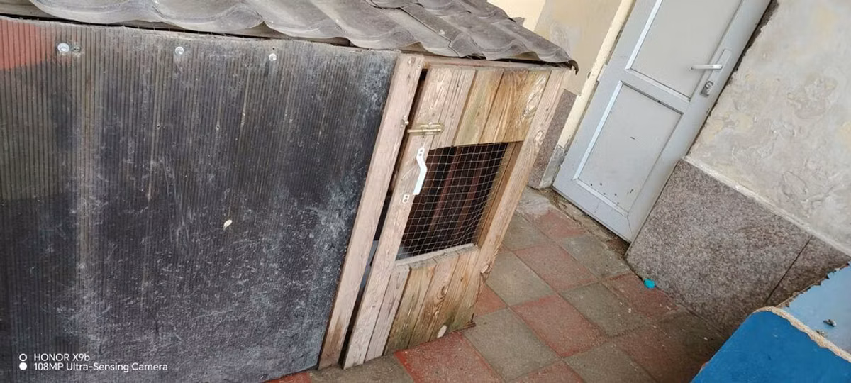 Toyuq/xoruz üçün açıq hava qəfəsi və kiçik toyuq daxması - Material