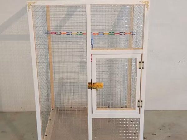 Papuqay,dovşan,hamster,şinşila,bildirçin,cücə,xamyak,pişik,quş,tısbağa