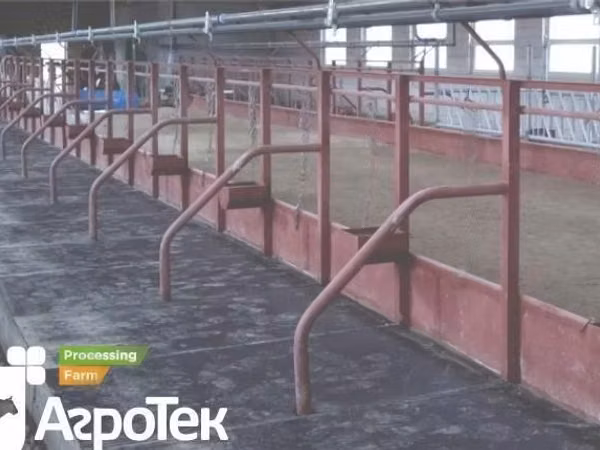 Система уровневого поения КРС