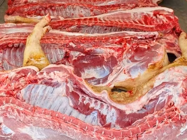 Porci de carne