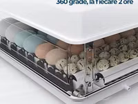 Incubator MS 63 — foto 3