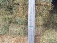 Продам люцерну — photo 2