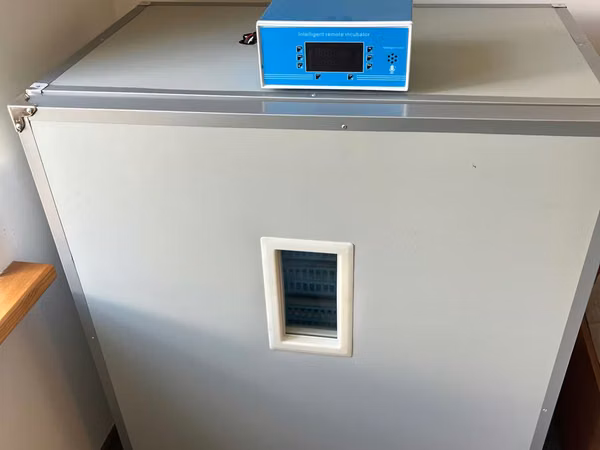 Incubator de ouă Des Champs DZO-1000
