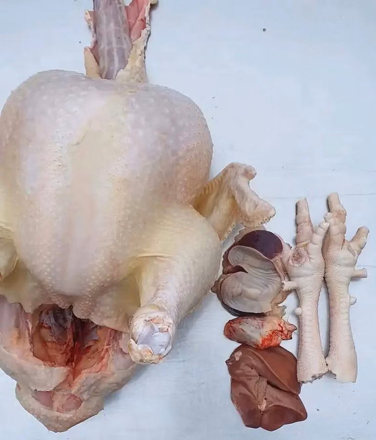 Se vinde carne de curcan și cocoși de casă!