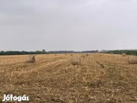 Elcserélnék vagy eladnák kukorica csuta bálát szarvasmarhára — photo 1