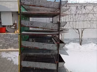 Продам клетки для перепелов — foto 2