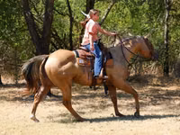 At, Quarter Horse — foto 6