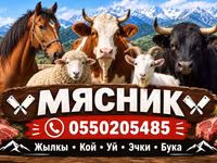 Услуги мясника/касатчы для забоя и разделки скота на выезде. Работаем — foto 1