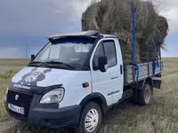 Продажа газель либо обмен на крс или лошадей — Foto 4