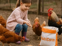Hrana pui / găini / iepuri / porci / prepelițe — foto 3
