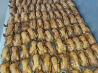 Prepelite: carne, oua, taietei, afumate, marinate, congelate, maioneza, pate, carne inabusita etc.. — Foto 3