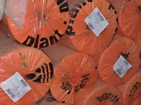 Agril — foto 1