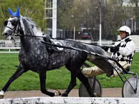 Caballo, Orlov Trotter — foto 1