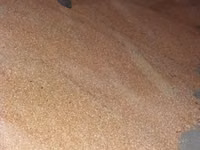 Vînd cereale — foto 4