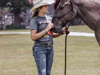 Cal, Quarter Horse — foto 5