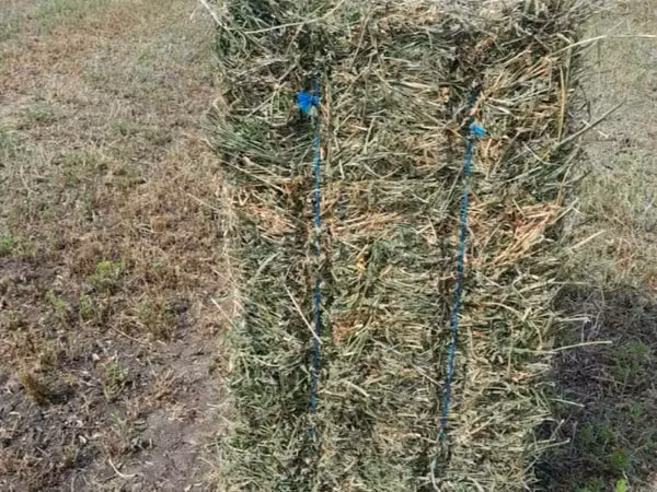 Vindem baloți de lucernă
