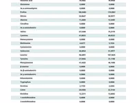 Concentrat proteic(inlocuitor faina de peste) белковый концентрат — foto 2